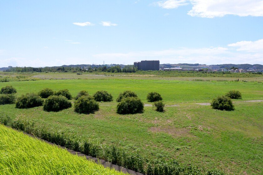 多摩川緑地